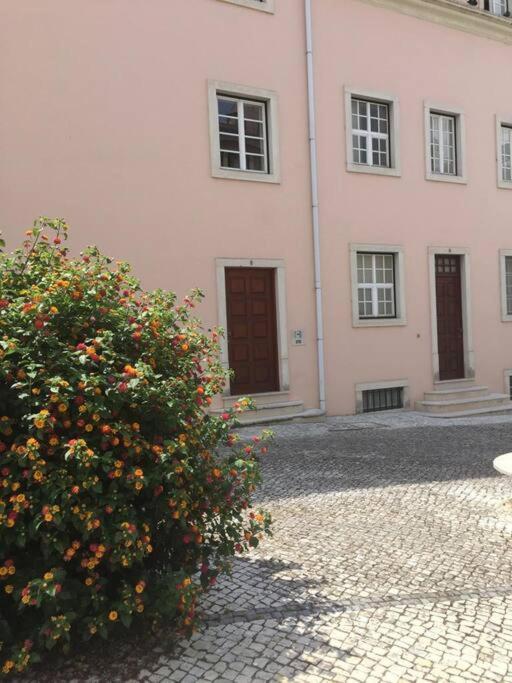 Easy Choice Home Coimbra Dış mekan fotoğraf