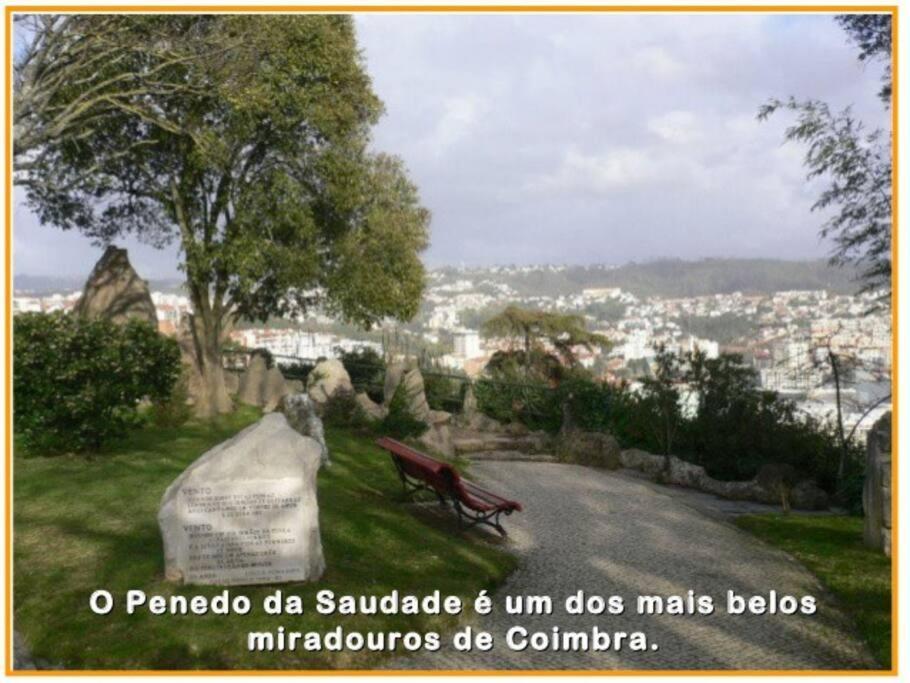 Easy Choice Home Coimbra Dış mekan fotoğraf